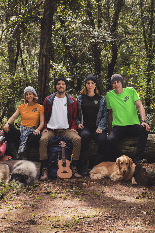 In the Woods