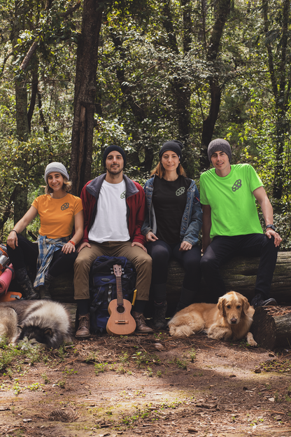 In the Woods